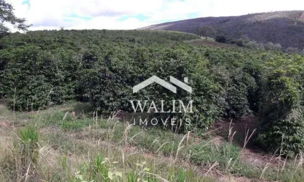 Fazenda à venda em Ilicínea, MG – 212 hectares com 120 mil pés de café e acesso privilegiado!