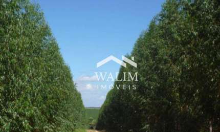 Fazenda premium em joão pinheiro/mg – oportunidade para agroindústria e investimento escalável