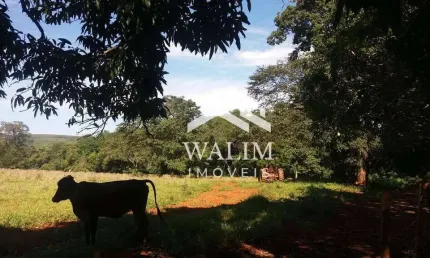 FAZENDA À VENDA COM 153,40 HECTARES, OPORTUNIDADE IMPERDÍVEL — PROPRIEDADE RURAL ENTRE CURVELO E FELIXLÂNDIA/MG