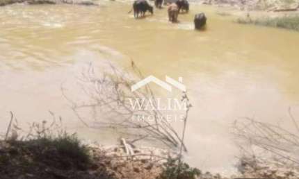 Fazenda com 316 Hectares em Cachoeira da Prata-MG | Beira do Asfalto e Corta pelo Rio Macacos!
