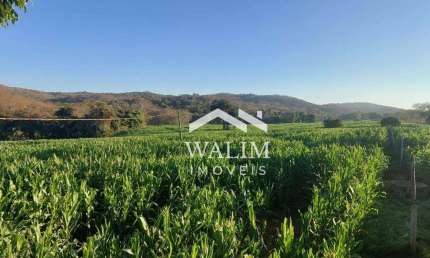 FAZENDA À VENDA EM CURVELO, MG – 521 HECTARES DE OPORTUNIDADE!