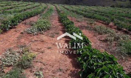 Fazenda à venda na Zona Rural, São Gonçalo do Sapucaí 