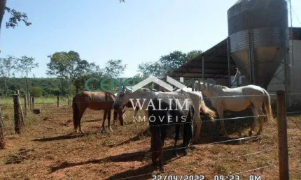 ??? FAZENDA EXCEPCIONAL - 70 HECTARES DE OPORTUNIDADE ESTRATÉGICA! ??
