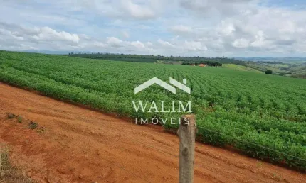 ???? fazenda de café premium à venda em piumhi-mg – 52 hectares de oportunidade!
