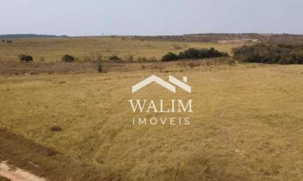 EXCLUSIVO! FAZENDA DE 650 HECTARES EM FELIXLÂNDIA (MG) – OPORTUNIDADE NO AGRONEGÓCIO!