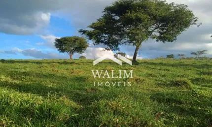 ??? OPORTUNIDADE ÚNICA! TERRENO DE 50 HECTARES NA BEIRA DO ASFALTO EM PASSA TEMPO (MG) ???