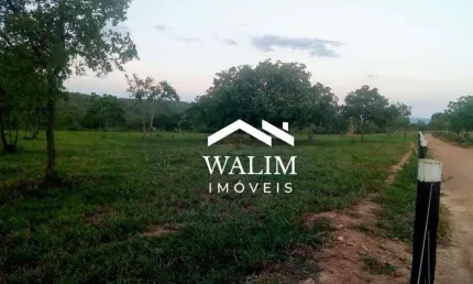 Fazenda de 128 Hectares em Caetanópolis, MG  Estrutura Completa e Alto Potencial Produtivo!