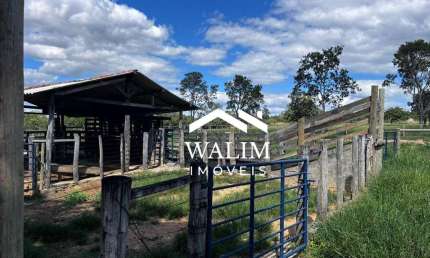 ??? FAZENDA DE EXCELÊNCIA À VENDA EM CURVELO/MG - OPORTUNIDADE ÚNICA NO AGRO! ?? WALIM IMÓVEIS | 'Seu Lar, Nossa Paixão!'