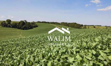 FAZENDA PREMIUM EM ITAPETININGA-SP 611 Alqueires | 1.478,62 Hectares | R$ 280 Milhões
