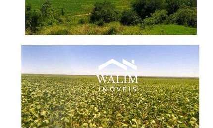 ?? OPORTUNIDADE GLOBAL EXCLUSIVA | FAZENDA PREMIUM – 10.019 HA | PARAGUAI VALOR: US$ 30.000.000