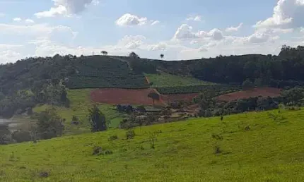 ? Fazenda  cafeeira e leiteira à venda com Potencial de Expansão – 155 Hectares | São José da Barra – MG | R$ 17 Milhões