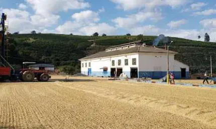 ? Fazenda Cafeeira Pronta em Carmo de Minas – 127 Hectares | 400 Mil Pés de Café | Produção de Alta Qualidade!