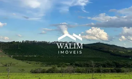?? Fazenda 47?hectares à venda – Piedade dos Gerais/MG  Produção de mexerica + estrutura premium | Vista espetacular | Próxima a BH
