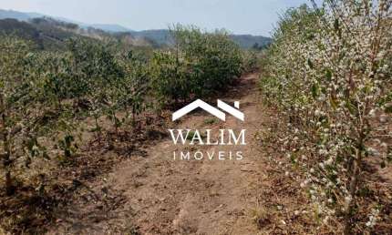 ?? Fazenda de Cafeeira à Venda, 72,60 Hectares, 150 mil pés de café – Campanha, MG