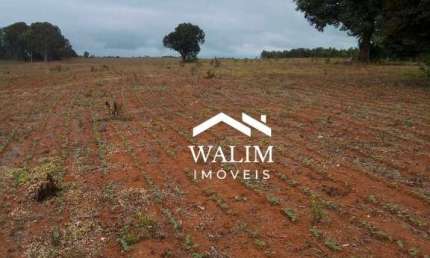 ???? FAZENDA À VENDA – 1.100 HECTARES – NEPOMUCENO/MG – R$ 110 MILHÕES