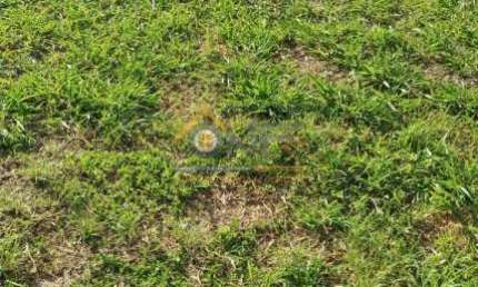 Terreno à venda no Jardim Mantova, Indaiatuba  por R$ 365.000