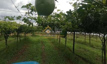 Chácara / sítio à venda no Abaitinga, São Miguel Arcanjo  por R$ 1.150.000