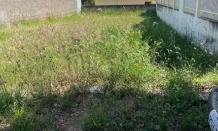 Terreno à venda, 250 m² por r$ 85.000,00 - jardim metosita  - caldas novas/go