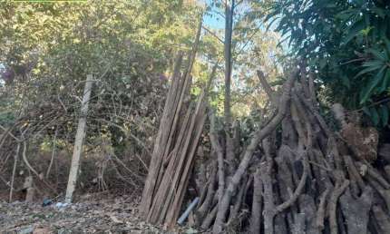 Terreno à venda, 660 m² por R$ 160.000,00 - Do Turista II - Caldas Novas/GO