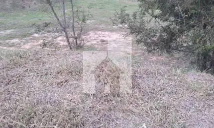 Terreno à venda no Horizonte Azul, Itupeva 