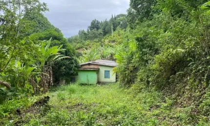 Área na Ilha de Guaratiba, estrada do Morgado- 30 minutos do Recreio