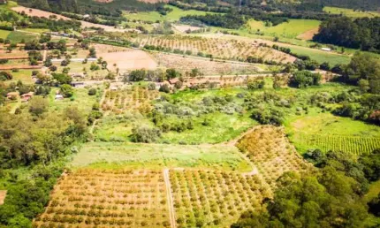Chácara / sítio à venda na estrada leopoldino bortolossi, mombuca, itatiba, 96600 m2 por r$ 3.800.000
