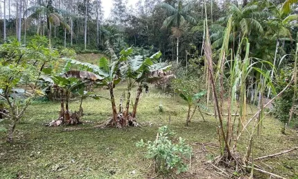 Terreno à venda no São Pedro, Guabiruba 