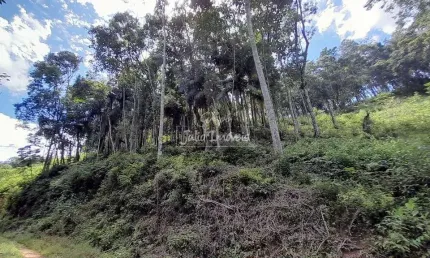 Terreno à venda no Cedrinho, Brusque 