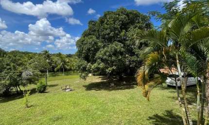 Sítio à Venda - Propriedade Arborizada com Casa principal, Arvores frutiferas, Poço Artesiano e Fonte de Água!