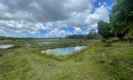Vende-se Sítio com Criatório de Peixes, Casa Principal e Áreas de Lazer