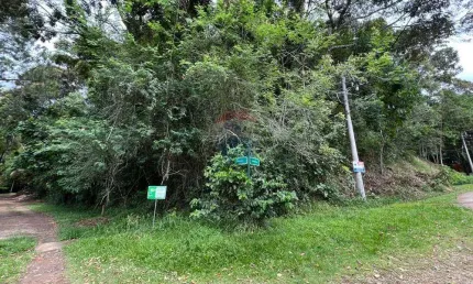 Terreno AMAVALE de 4480m² em Teresópolis: Oportunidade!