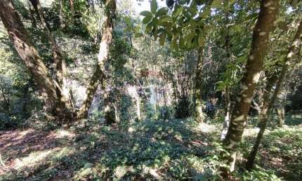 Terreno à venda na Rua Esmeraldino Salvino, 691, Centro, Guapimirim