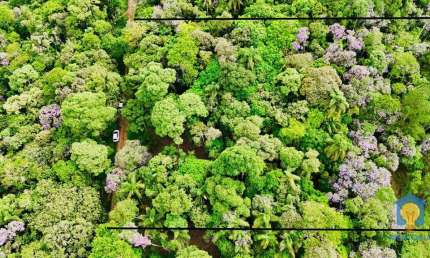 Terreno à venda, 2700 m² por R$ 265.000,00 - Chácaras Embu Colonial - Embu das Artes/SP
