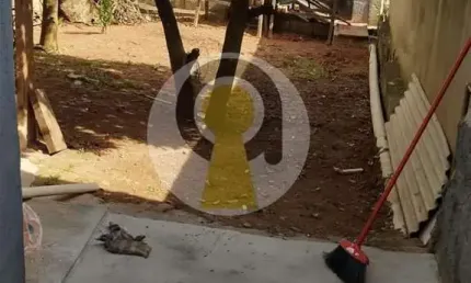 Casa para Locação em São Paulo, Vila Carmosina, 1 dormitório, 1 banheiro