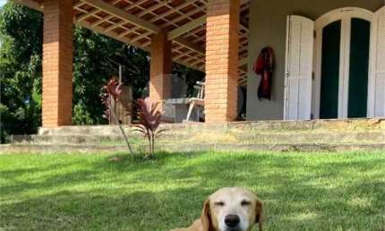 Chácara com 3 quartos à venda em Sertão Da Quina - SP
