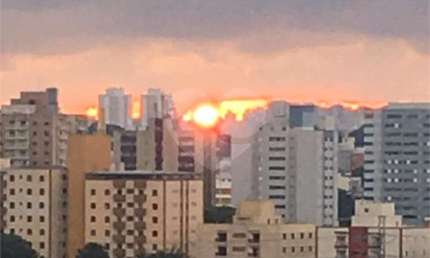 Apartamento com 2 quartos à venda em Vila Palmares - SP