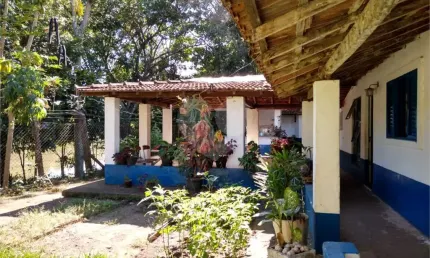 Fazenda à venda no Centro, Porto Ferreira 