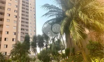 Apartamento com 3 quartos para locação em Vila Camilópolis - SP