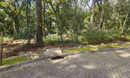 Terreno em condomínio fechado à venda na Rua José Pedro Piva, 6, Parque Pinheiro Grosso, Canela