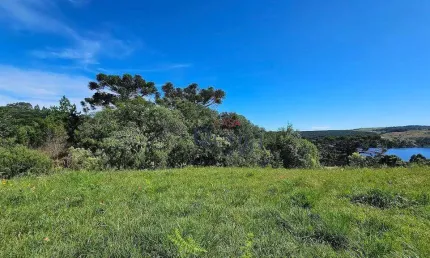 Terreno à venda, 1123 m² por R$ 300.000,00 - Distrito Eletra - São Francisco de Paula/RS