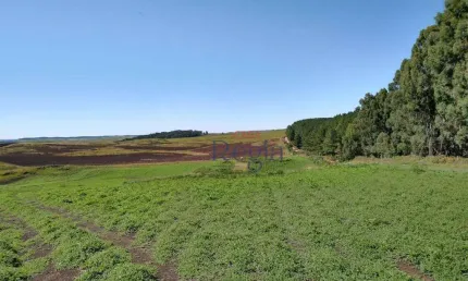 Sítio à venda, 600000 m² por R$ 5.300.000,00 - Lajeado Grande - São Francisco de Paula/RS