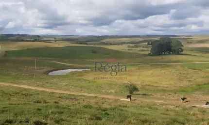 Sítio à venda, 201 hectares por R$ 11.500.000 - Lajeado Grande - São Francisco de Paula/Rio Grande do Sul