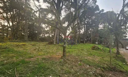Terreno à venda, 407 m² por R$ 309.488,00 - São Luiz - Canela/RS
