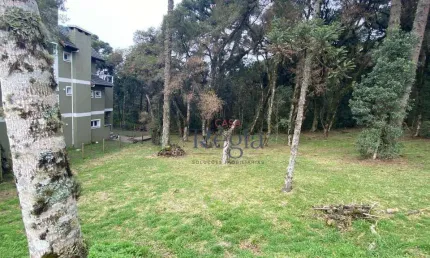 Terreno à venda, 595 m² por R$ 1.400.000,00 - Centro - Canela/RS
