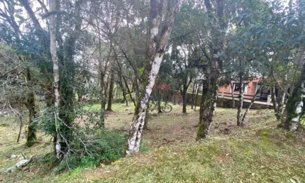 Terreno à venda, 707 m² por r$ 1.800.000,00 - centro - canela/rs
