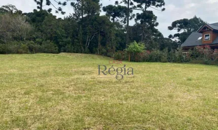 Terreno à venda, 900 m² por R$ 2.100.000,00 - Centro - Canela/RS