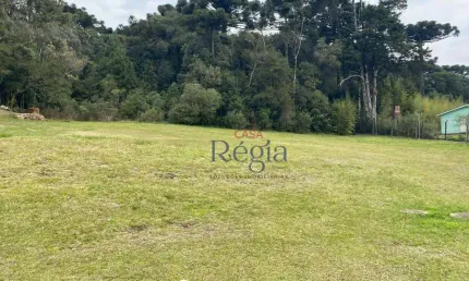 Terreno à venda, 1975 m² por r$ 3.000.000,00 - centro - canela/rs