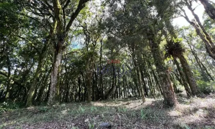 Terreno a venda no Residencial Pinheiro Grosso em Canela/RS!