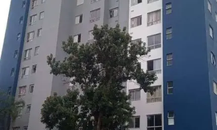 Apartamento com 2 quartos, santa etelvina - são paulo