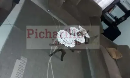 Casa para Venda em São Carlos, Jardim Alvorada, 3 dormitórios, 1 suíte, 3 banheiros, 2 vagas